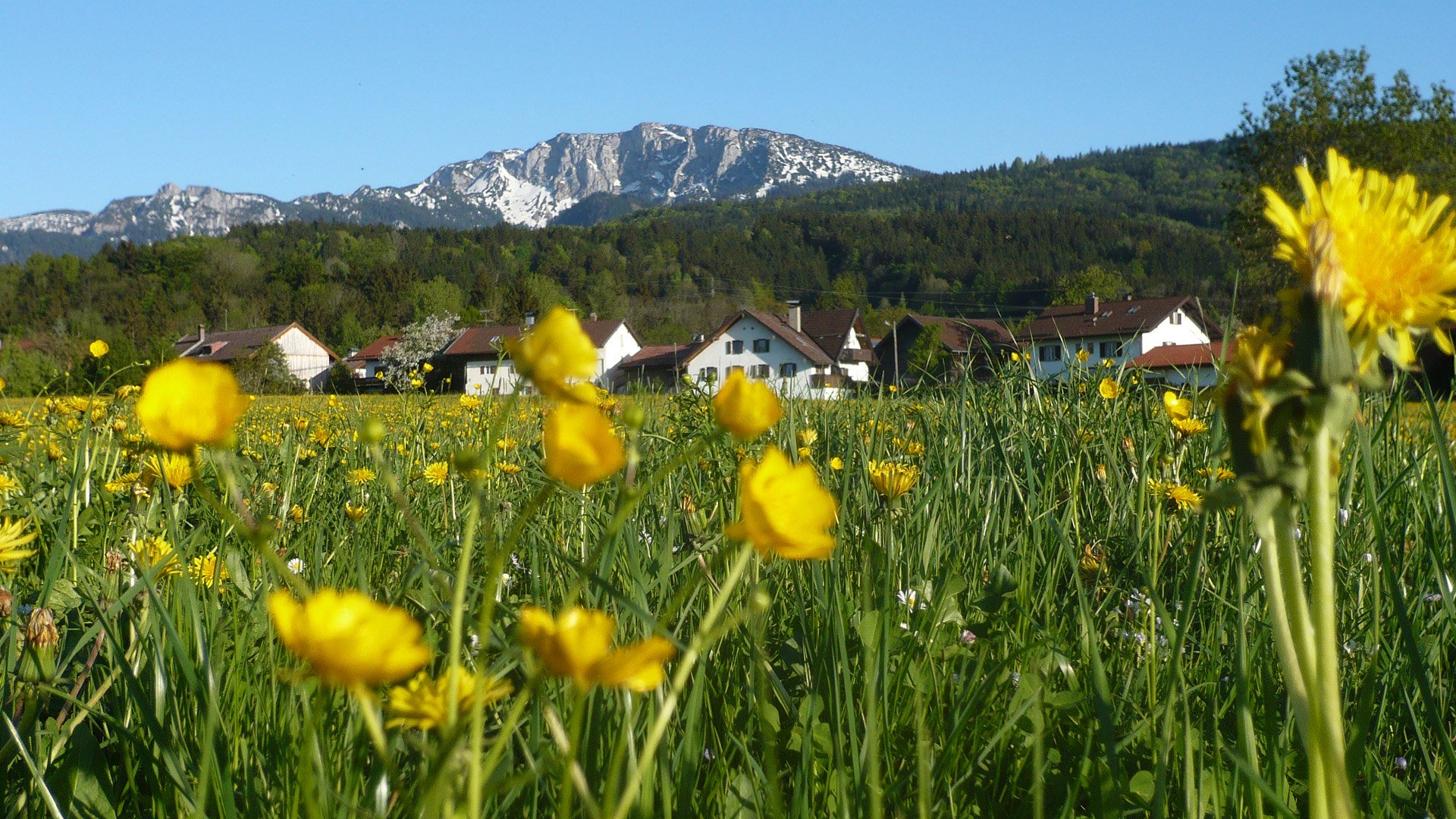 Benediktbeuern mit Benediktenwand, © Gästeinformation Benediktbeuern