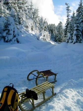 Rechelkopf Winteraufstieg über Forststraße, © Tölzer Land Tourismus