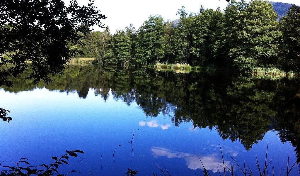 Schönauer Weiher, © Schönauer Weiher