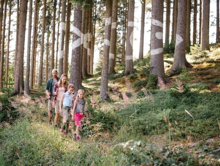 Kunstwanderweg Sinneswandel, © Tölzer Land Tourismus / Foto Leonie Lorenz