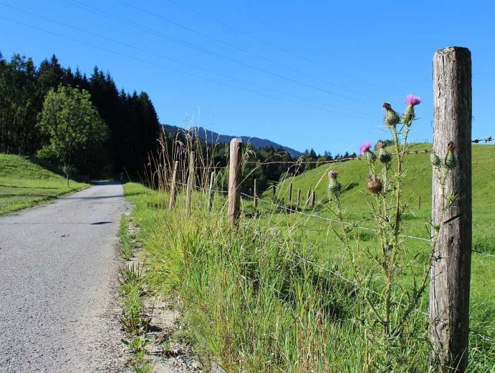 Höhenweg bei Mariabrunn, © Tölzer Land Tourismus