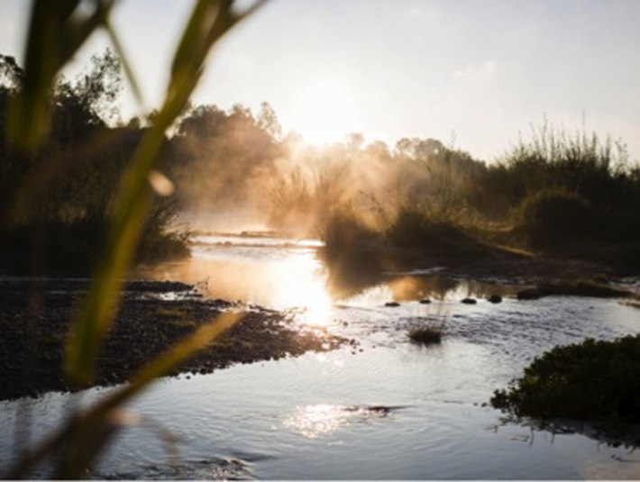 Morgenstimmung am Flussufer, © Stadt Geretsried