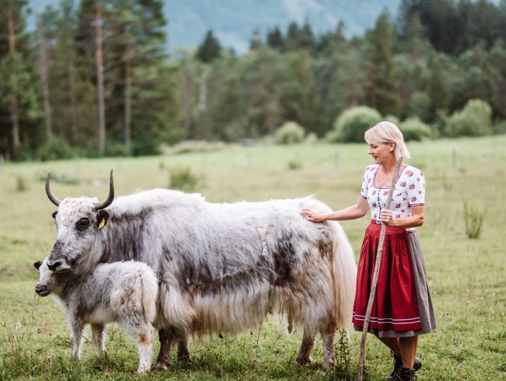 Andrea Meßmer mit Yak|Foto: LeonieLorenz