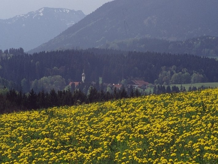 HK 50: Fischbacher Moosweg, © Tölzer Land Tourismus