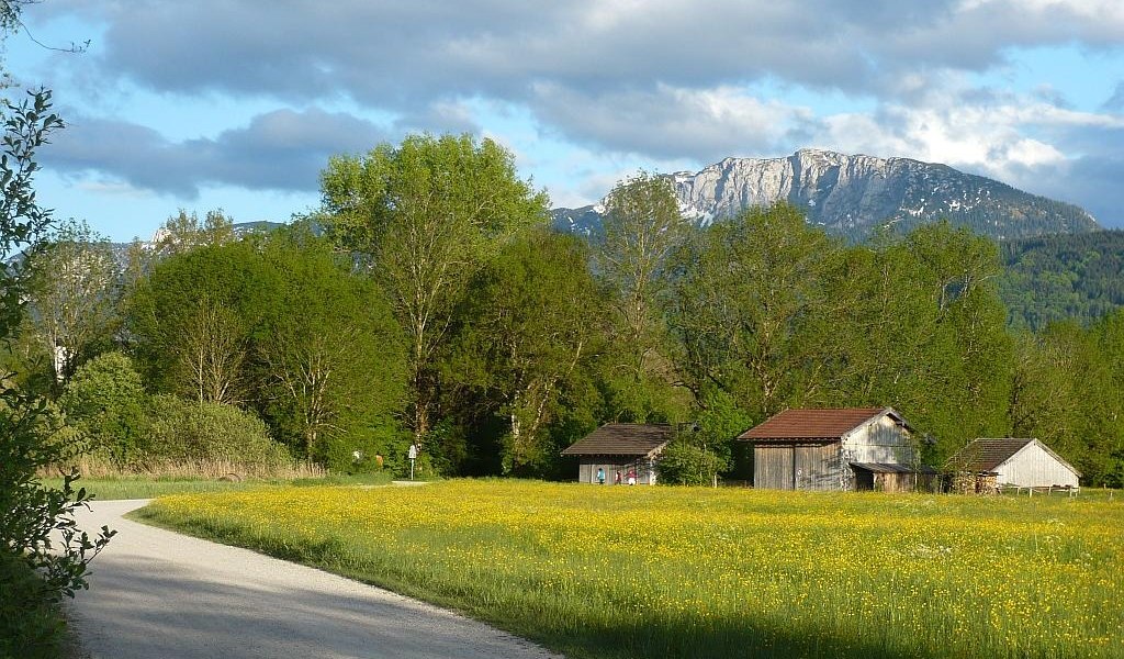 Wanderweg im Moos, © Gästeinformation Benediktbeuern