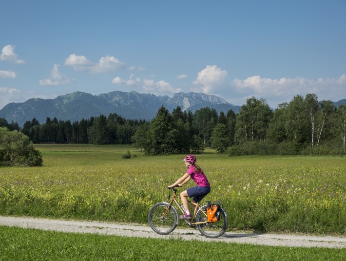 Eine Radfahrerin fährt auf einem Radweg zwischen bunten Blumenwiesen; im Hintergrund erhebt sich die markante Benediktenwand, © Tölzer Land Tourismus|Jörg Spaniol