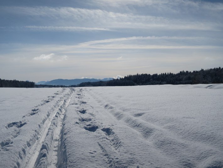 Blick über die Böhmwiese Richtung Süden, © Tölzer Land Tourismus