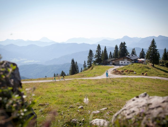 Höhenweg am Brauneck, © Adrian Greiter