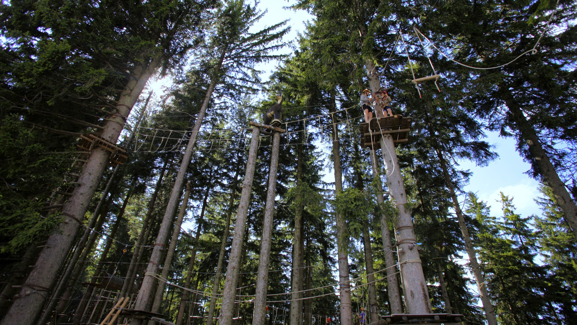 Kletterwald am Blomberg, © Tourist Information Bad Tölz I Foto Wilbert