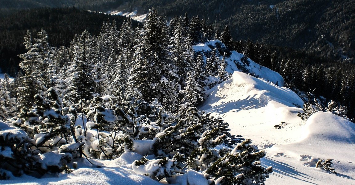 Spitzkamp mit Blick auf Lenggries, © Tourismus Lenggries