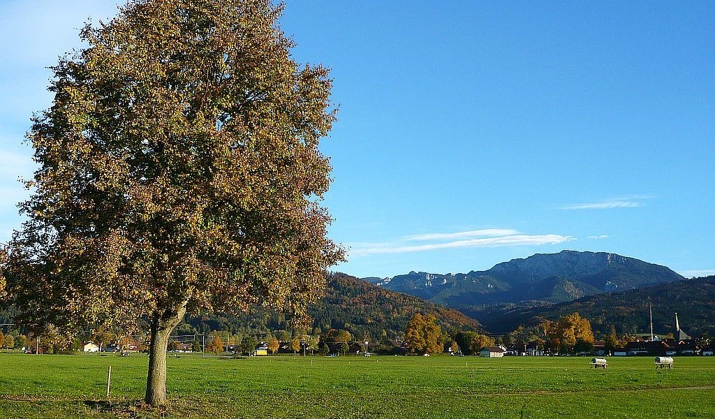 Wiesenweg nach Benediktbeuern, © Gästeinformation Benediktbeuern