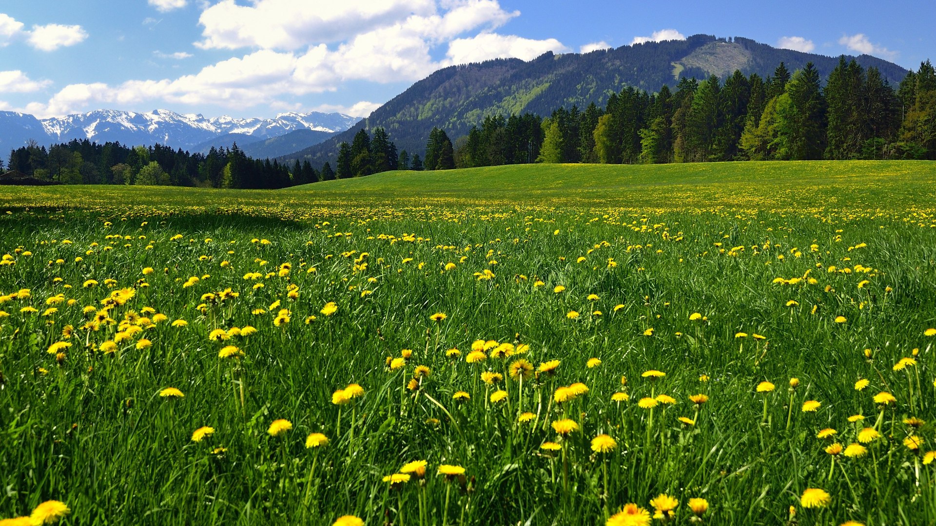 Gemeinde Wackersberg, © Gemeinde Wackersberg / Fotograf: Hirz