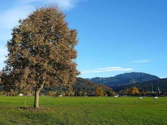 Wiesenweg nach Benediktbeuern, © Gästeinformation Benediktbeuern