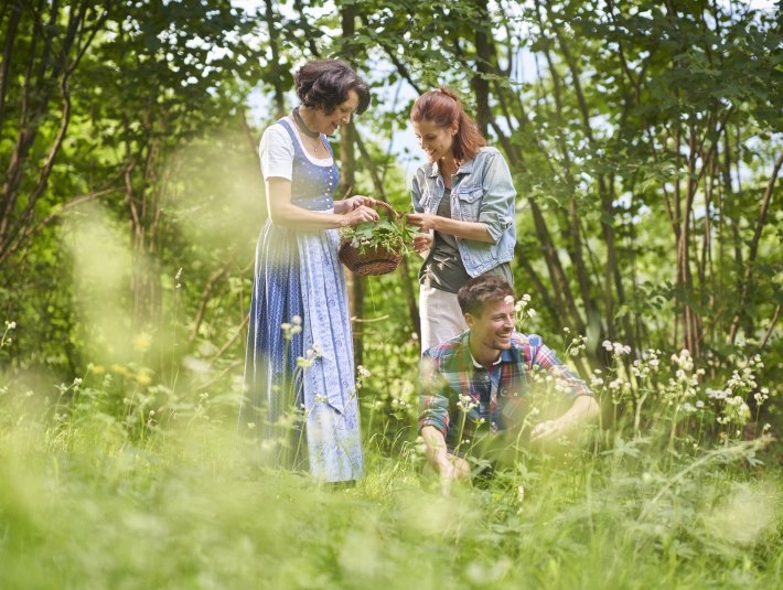 Lernen Sie eine wahren Schatz der Natur kennen bei den Kräuterwanderungen mit zertifizierten Kräuterpädagoginnnen, © Tölzer Land Tourismus/Stadt Bad Tölz|Jan Greune