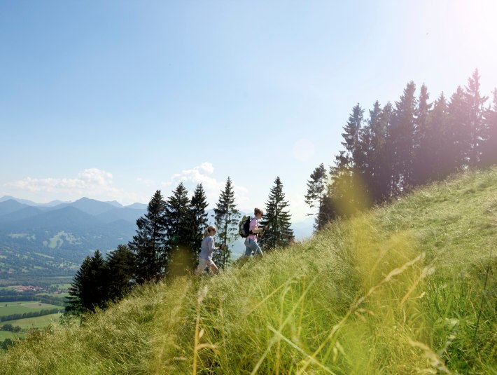 Sonniger Rundweg über Almen, © Tölzer Land Tourismus