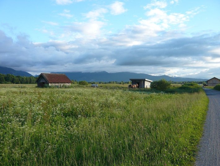 im Loisach-Kochelsee-Moor, © Tölzer Land Tourismus